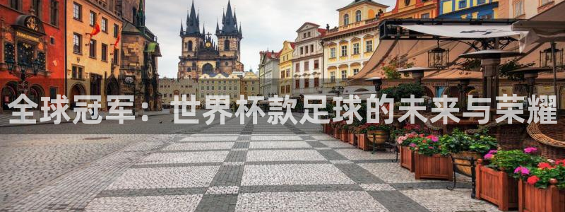 2026世界杯亚洲预选赛赛程：全球冠军：世界杯款足球的未来与荣耀