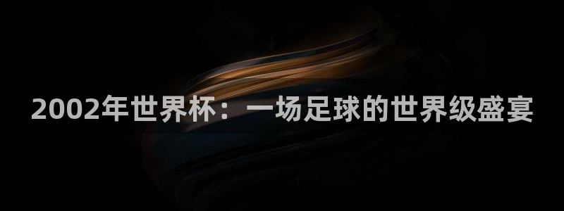 世界杯2026赛程时间表格：2002年世界杯：一场足球的世界级盛宴