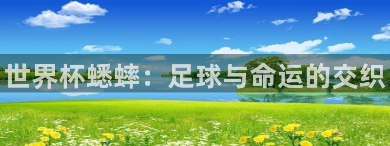 世界杯决赛圈球队：世界杯蟋蟀：足球与命运的交织