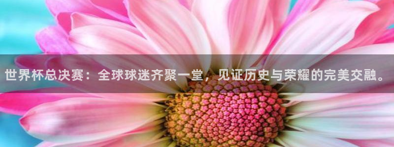 世界杯附加赛赛程表：世界杯总决赛：全球球迷齐聚一堂，见证历史与荣耀的完美交融。
