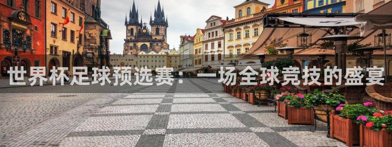 2026世界杯赛：世界杯足球预选赛：一场全球竞技的盛宴