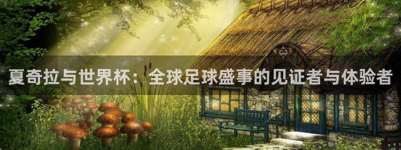 美国世界杯：夏奇拉与世界杯：全球足球盛事的见证者与体验者
