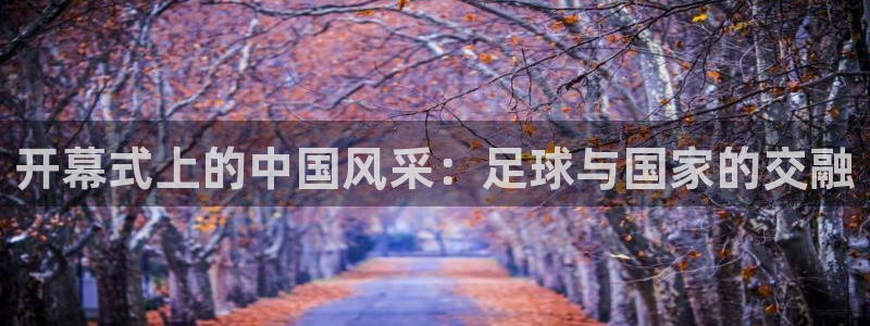 世界杯决赛直播:开幕式上的中国风采:足球与国家的交融