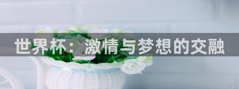 足球世界杯赛程：世界杯：激情与梦想的交融