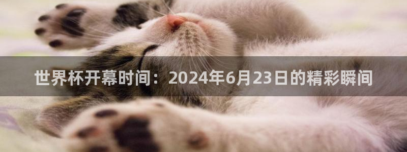世界杯小组赛赛程：世界杯开幕时间：2024年6月23日的精彩瞬间