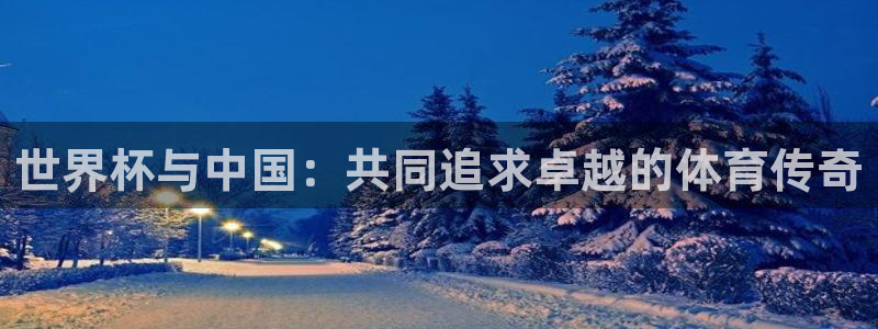 世界杯小组赛赛程：世界杯与中国：共同追求卓越的体育传奇