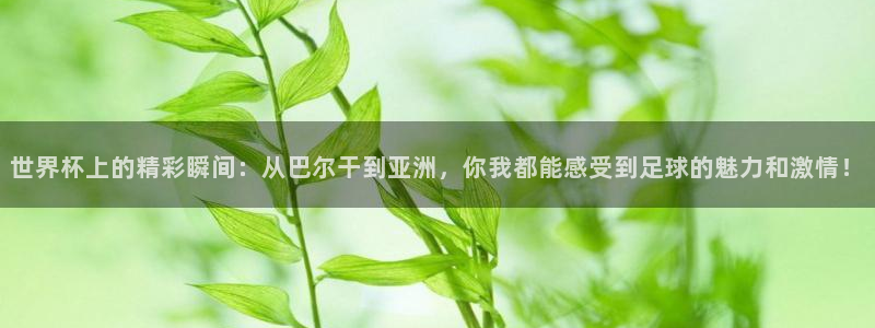 世界杯对阵表：世界杯上的精彩瞬间：从巴尔干到亚洲，你我都能感受到足球的魅力和激情！