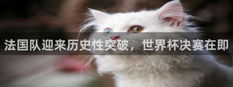 2026世界杯倒计时：法国队迎来历史性突破，世界杯决赛在即