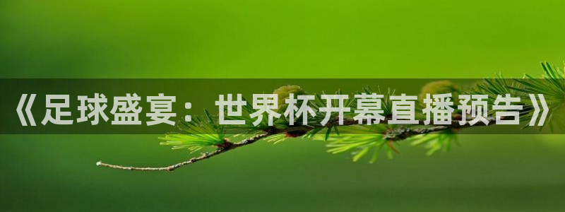 世界杯官网入口：《足球盛宴：世界杯开幕直播预告》