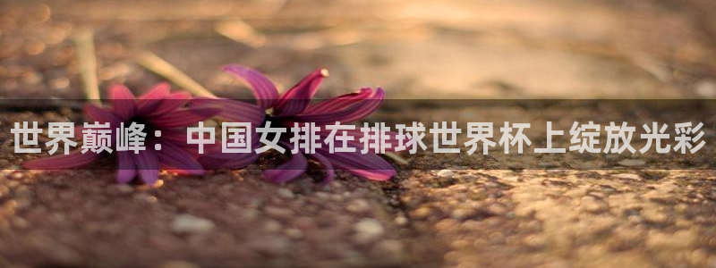 今天所有足球赛程表：世界巅峰：中国女排在排球世界杯上绽放光彩