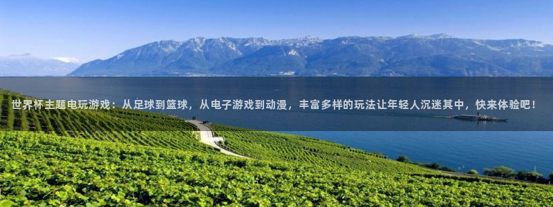 世界杯亚洲预选赛18强赛程：世界杯主题电玩游戏：从足球到篮球，从电子游戏到动漫，丰富多样的玩法让年轻人沉迷其中，快来体验吧！